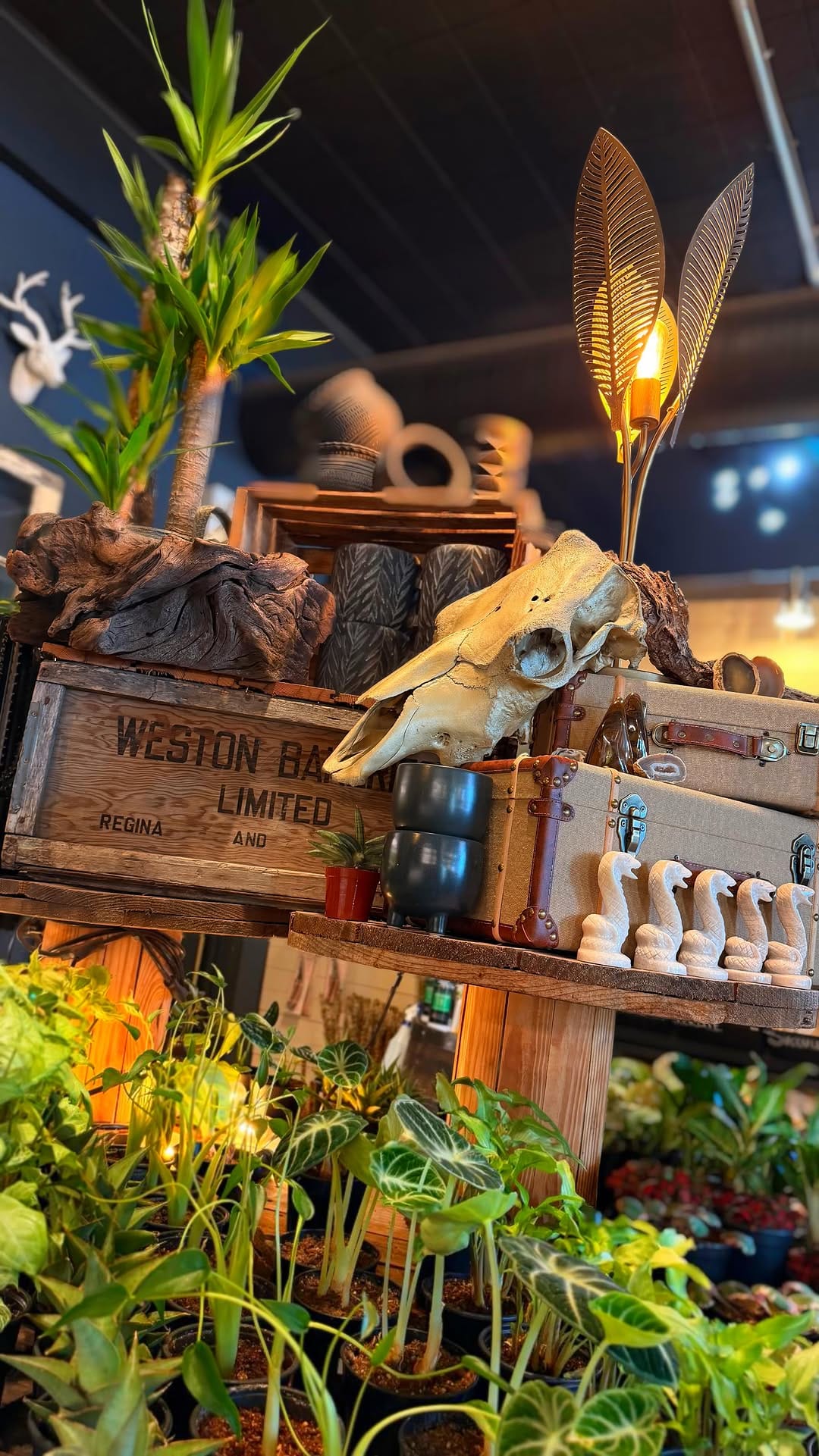 Post 7 by Rooted Living Designs on Instagram (video)