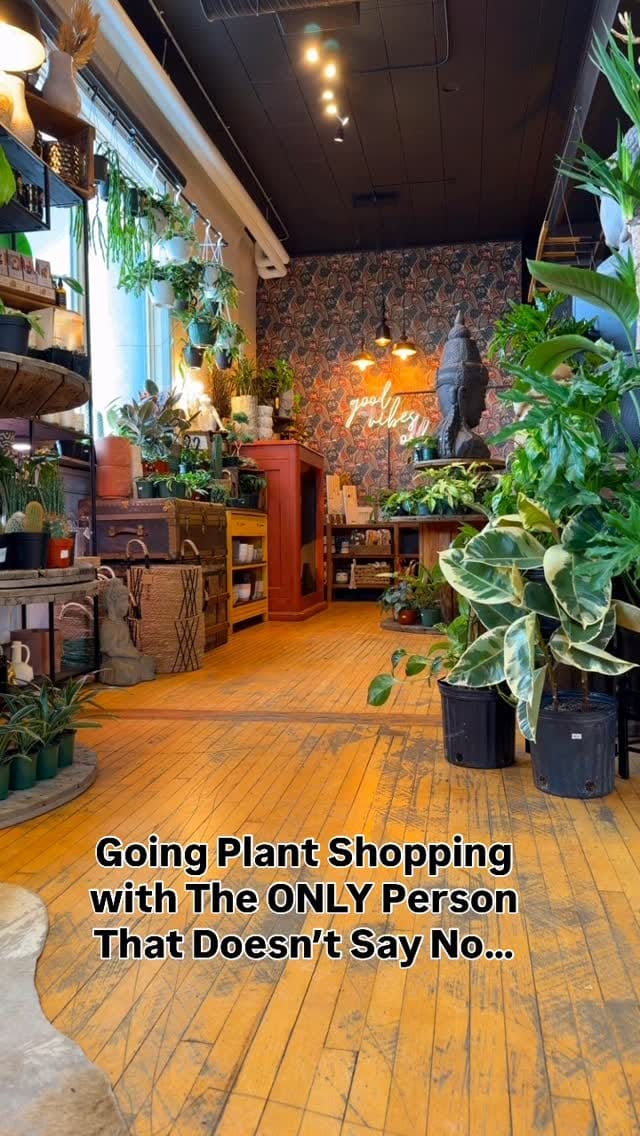 Post 9 by Rooted Living Designs on Instagram (video)