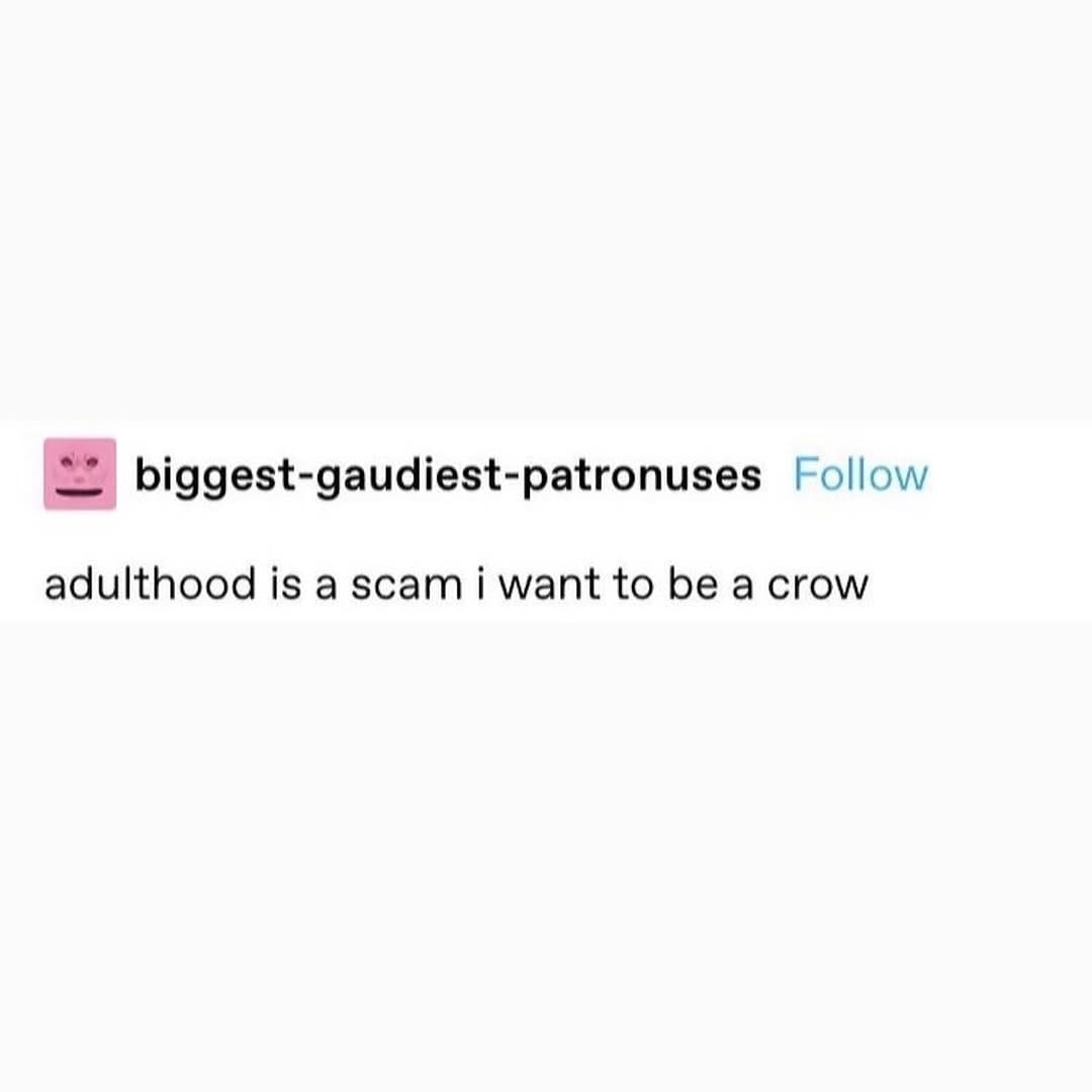 Post 3 by dark academia✨ on Instagram (carousel)