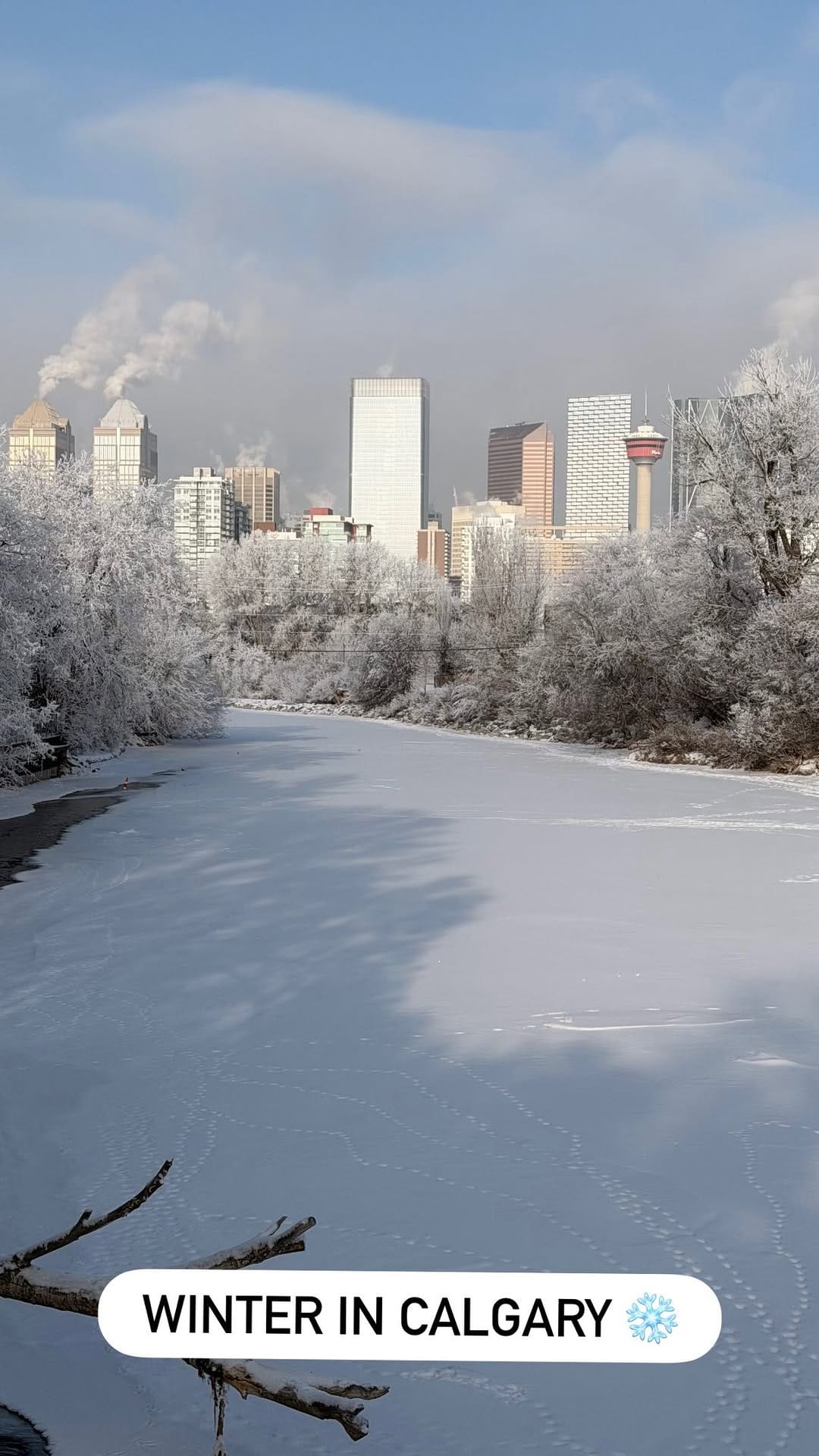 Post 4 by IRENE SETO ✨Calgary Lifestyle + Culture on Instagram (video)