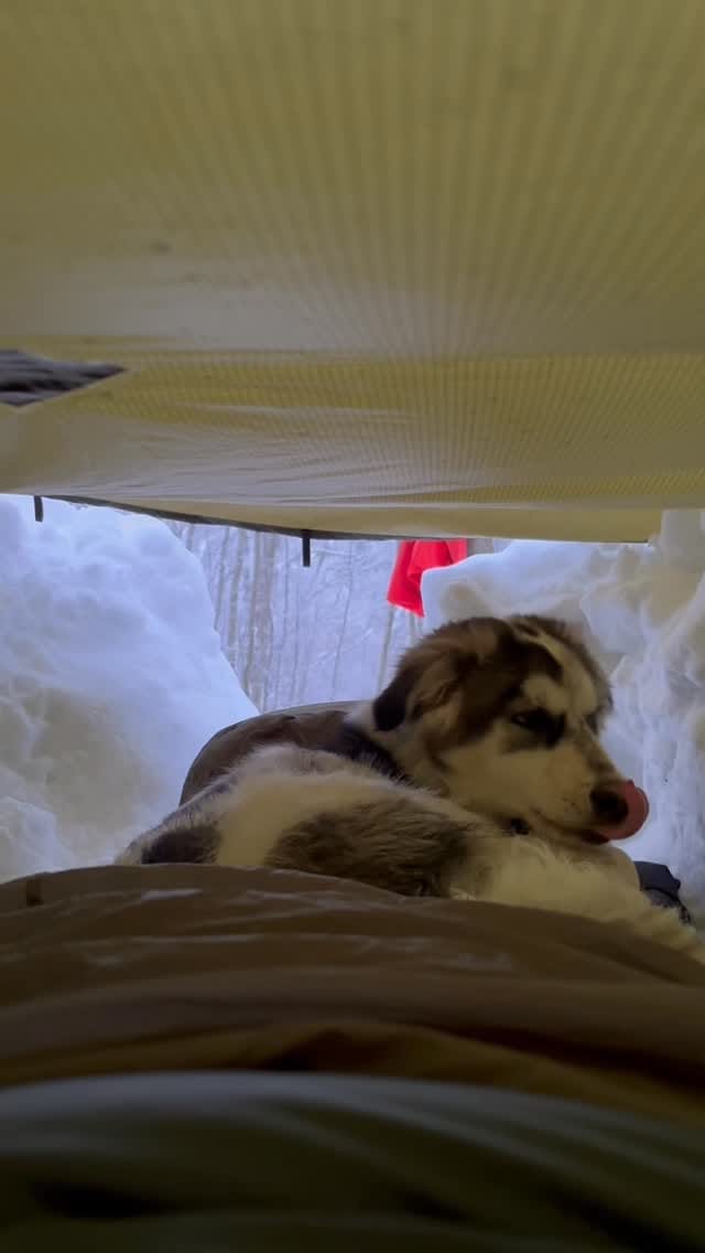 Post 1 by La Cordée on Instagram (video)