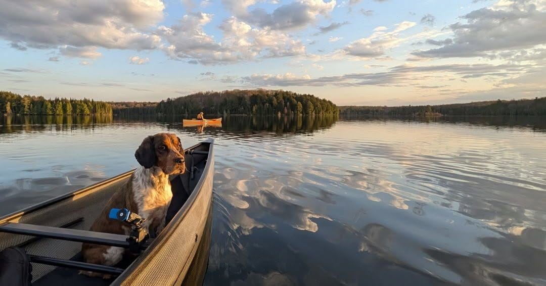 Post 4 by Swift Canoe & Kayak on Instagram (image)