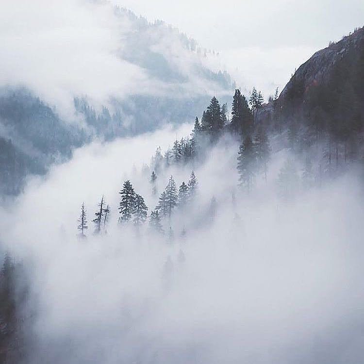 Post 7 by Adventure Movement on Instagram (image)