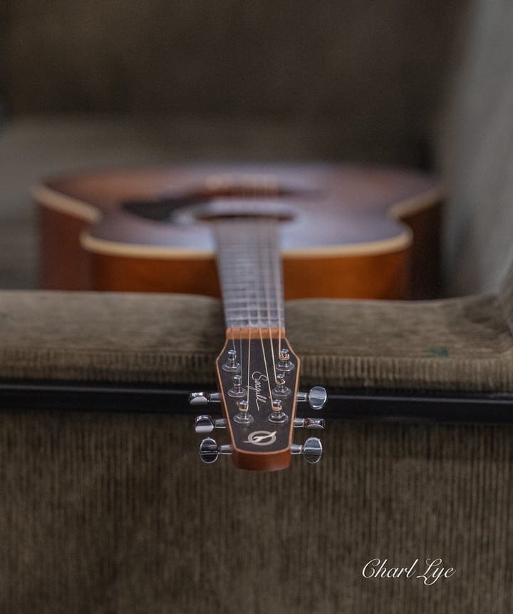 Post 1 by Seagull Guitars Official on Instagram (image)