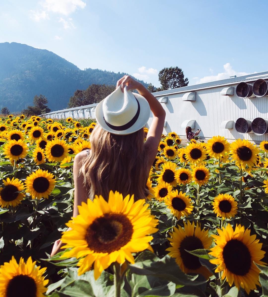 Post 5 by Pacific NorthWest Lifestyle on Instagram (image)