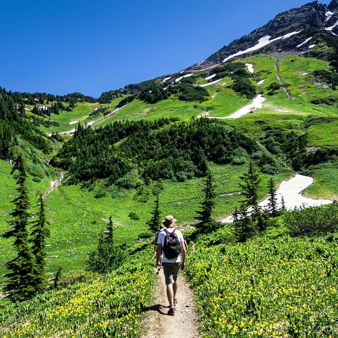 Post 6 by Pacific NorthWest Lifestyle on Instagram (image)