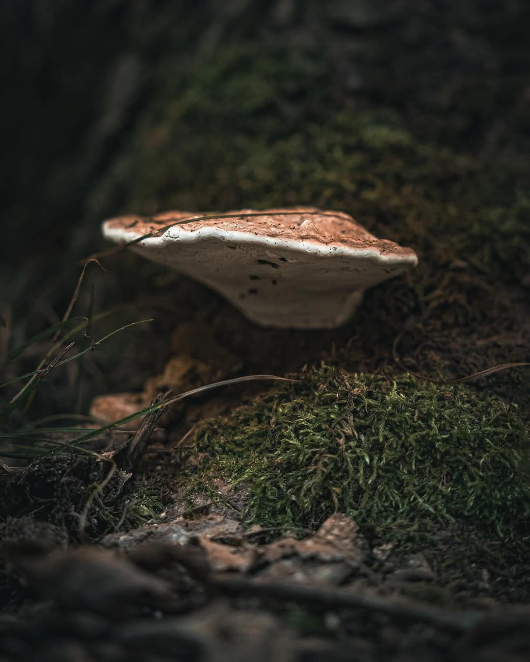 Post 7 by JKPhotography | Street Photographer on Instagram (image)