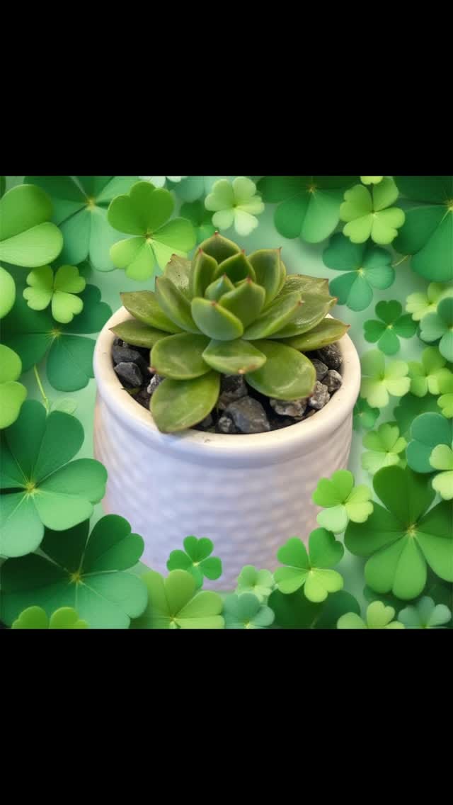 Post 10 by Craft Maison on Instagram (video)