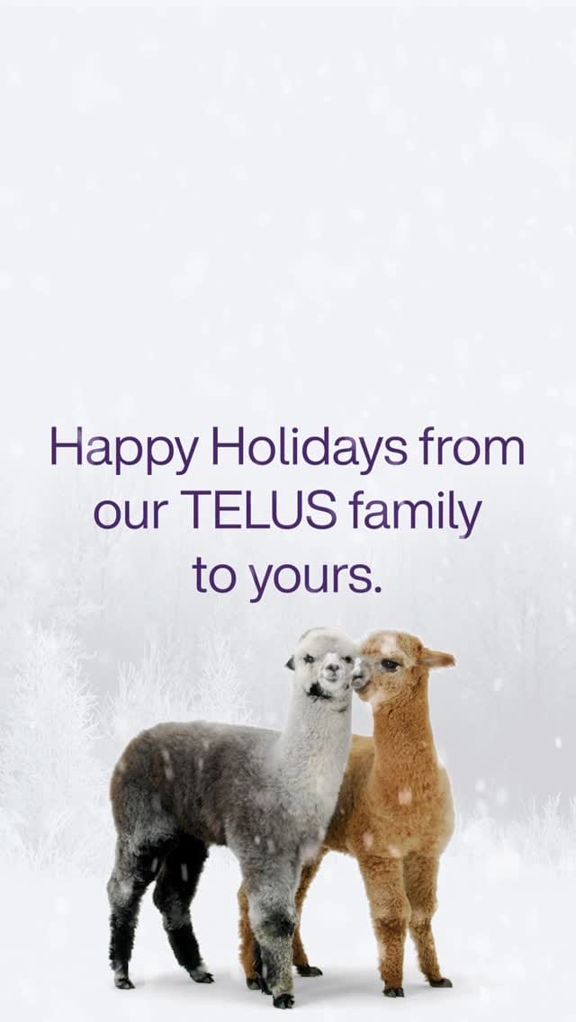 Post 7 by TELUS on Instagram (video)