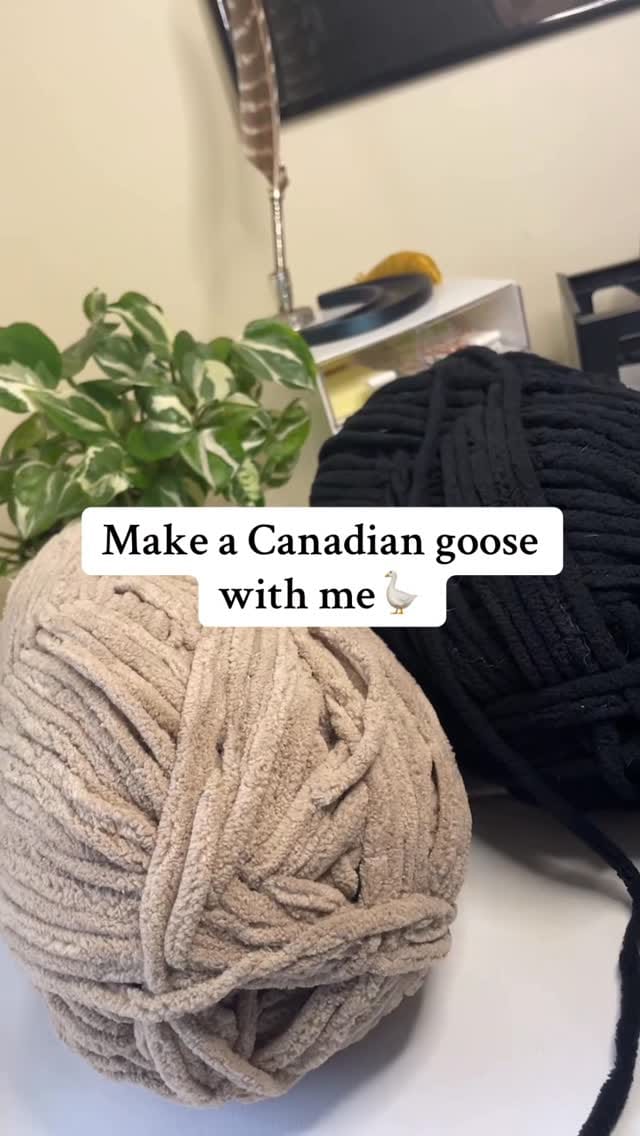 Post 10 by Katie Zavitz on Instagram (video)