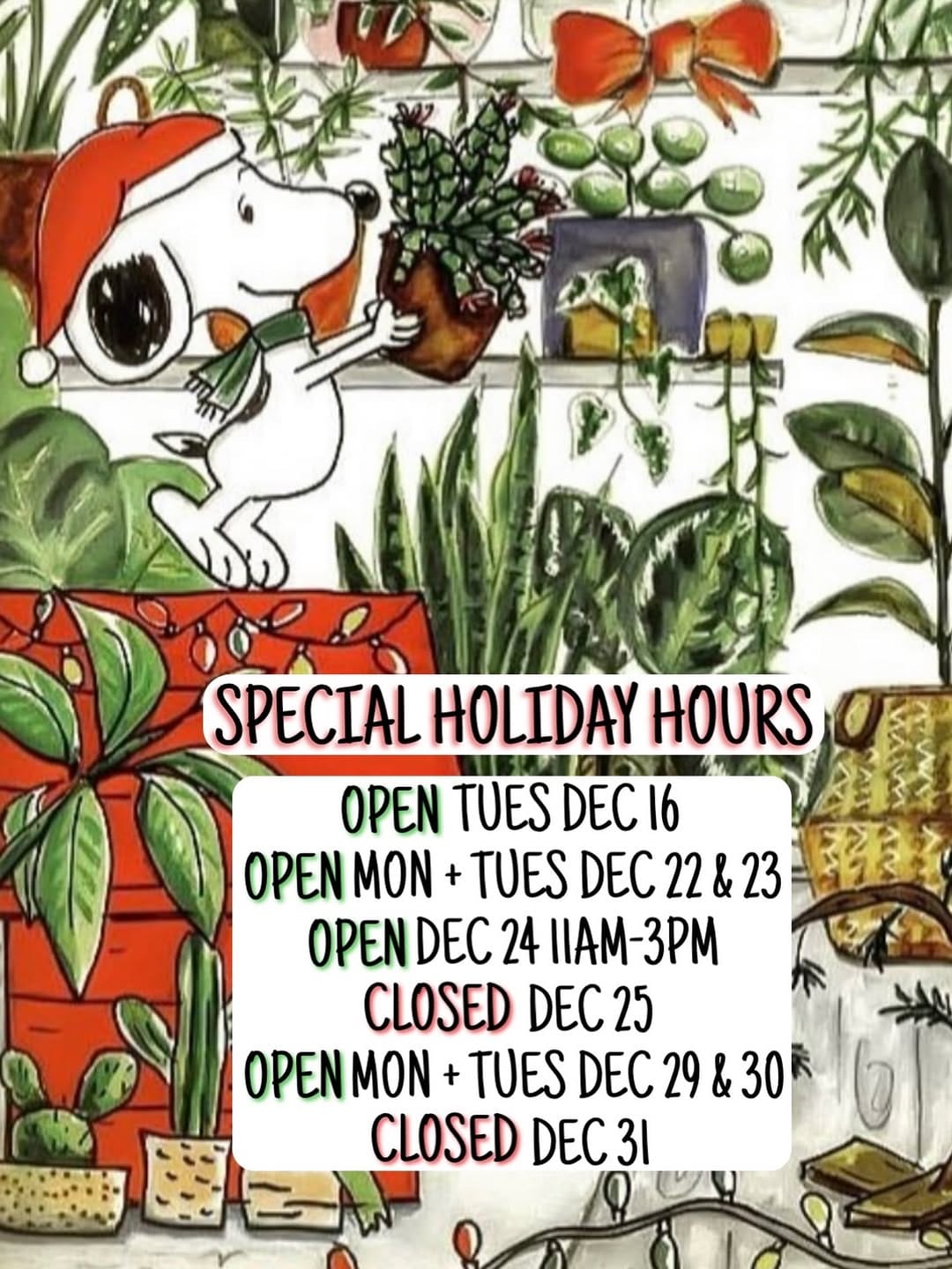 Post 10 by Little Plant Shop on Instagram (image)