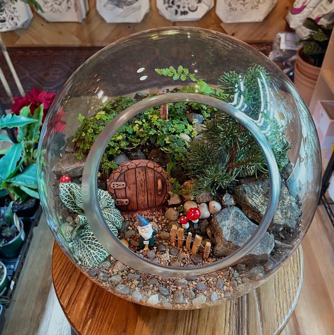 Post 7 by Little Plant Shop on Instagram (carousel)