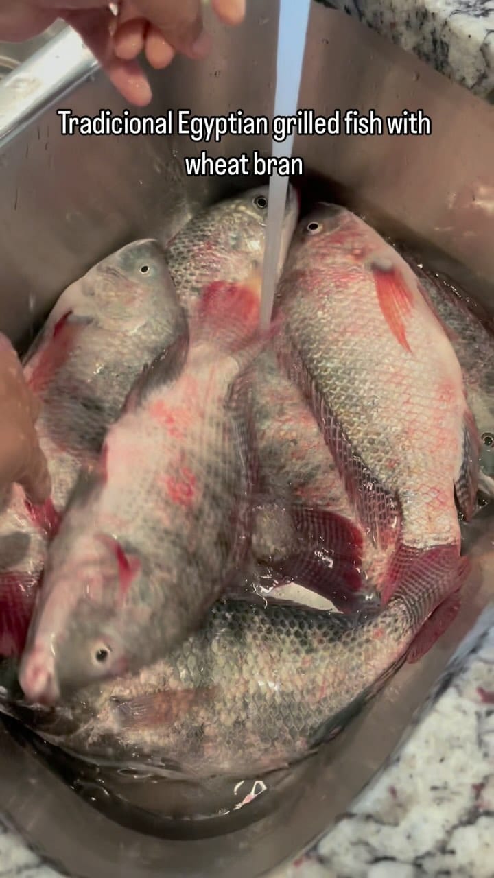 Post 9 by Heba Amer on Instagram (video)