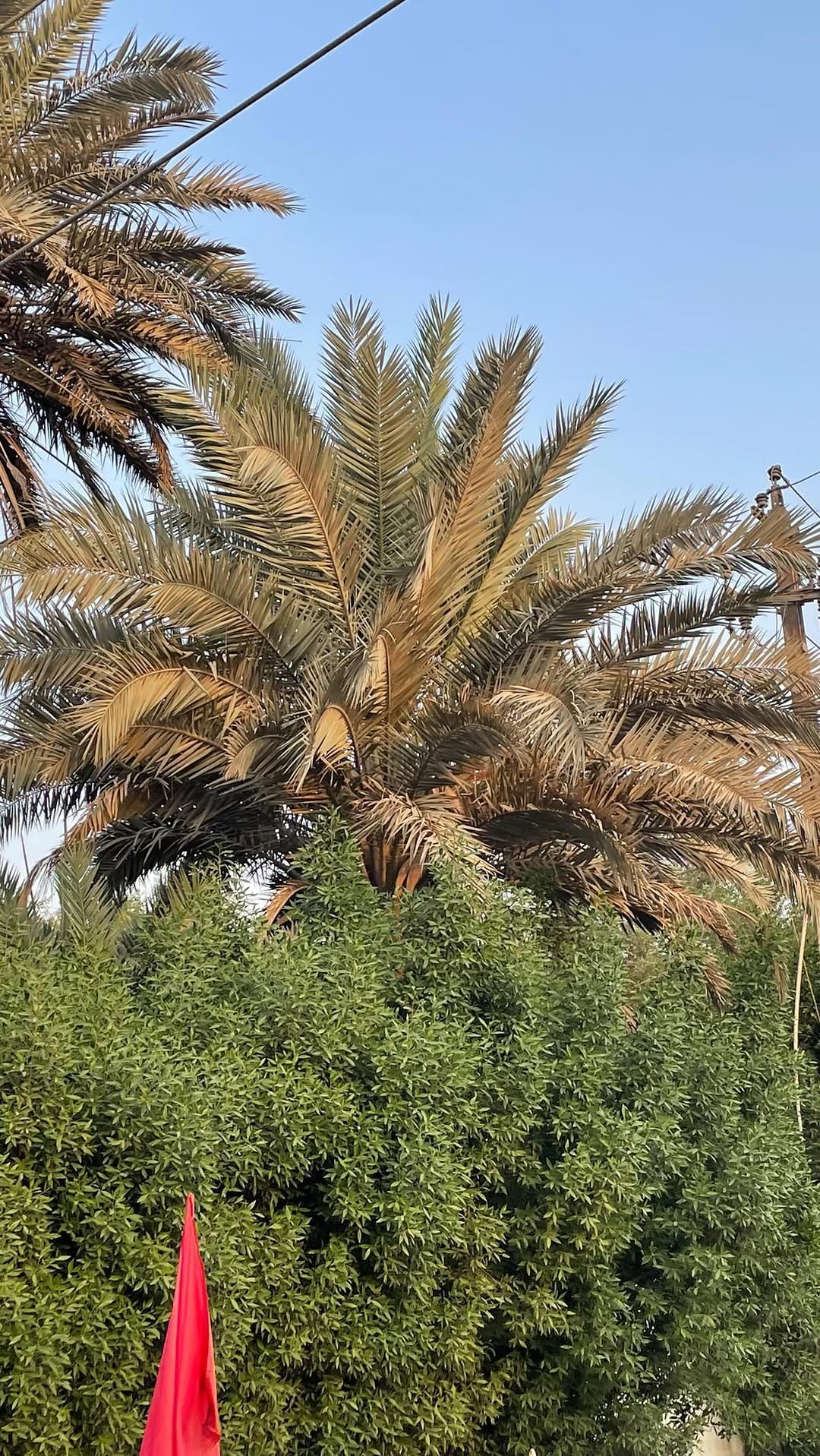Post 7 by Imane Al on Instagram (video)