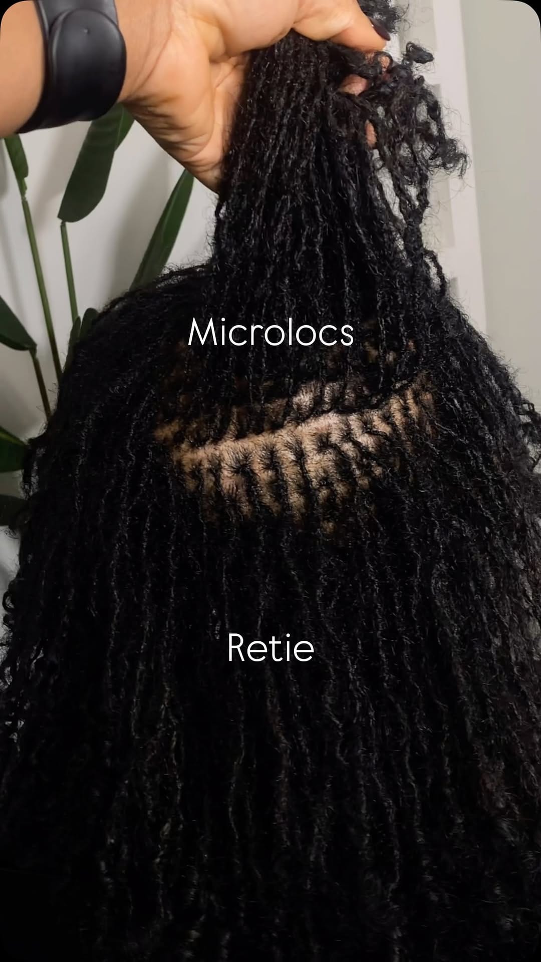 Post 7 by YYC MICROLOCS & NATURAL HAIR BY OPAGLAMZ on Instagram (video)