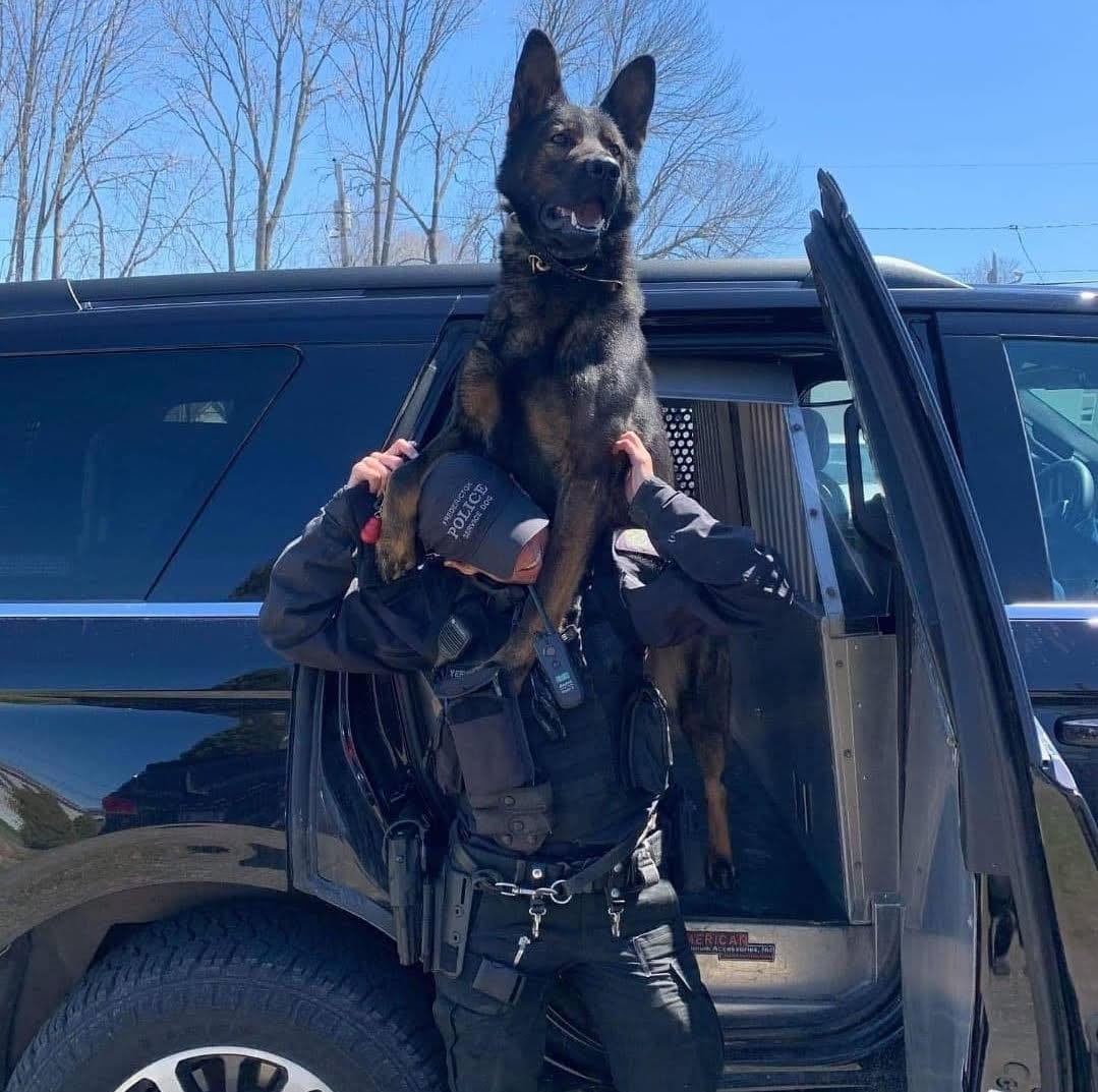 Post 10 by The Thin Blue Line Canada on Instagram (image)
