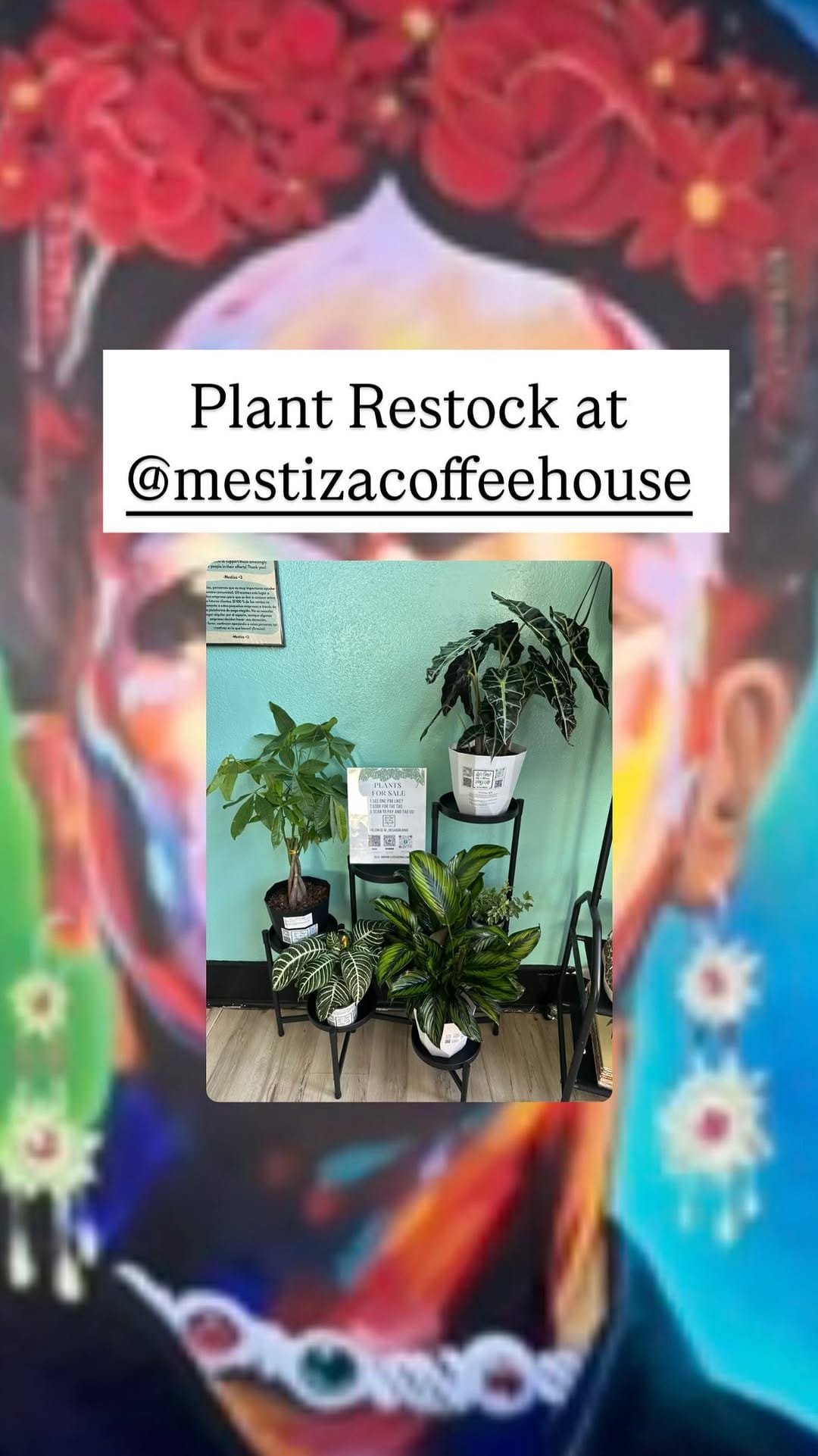 Post 1 by Mestiza Coffeehouse on Instagram (video)