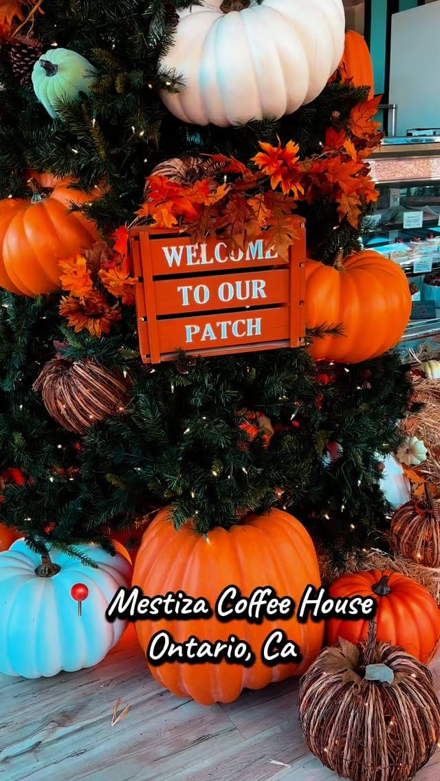 Post 9 by Mestiza Coffeehouse on Instagram (video)
