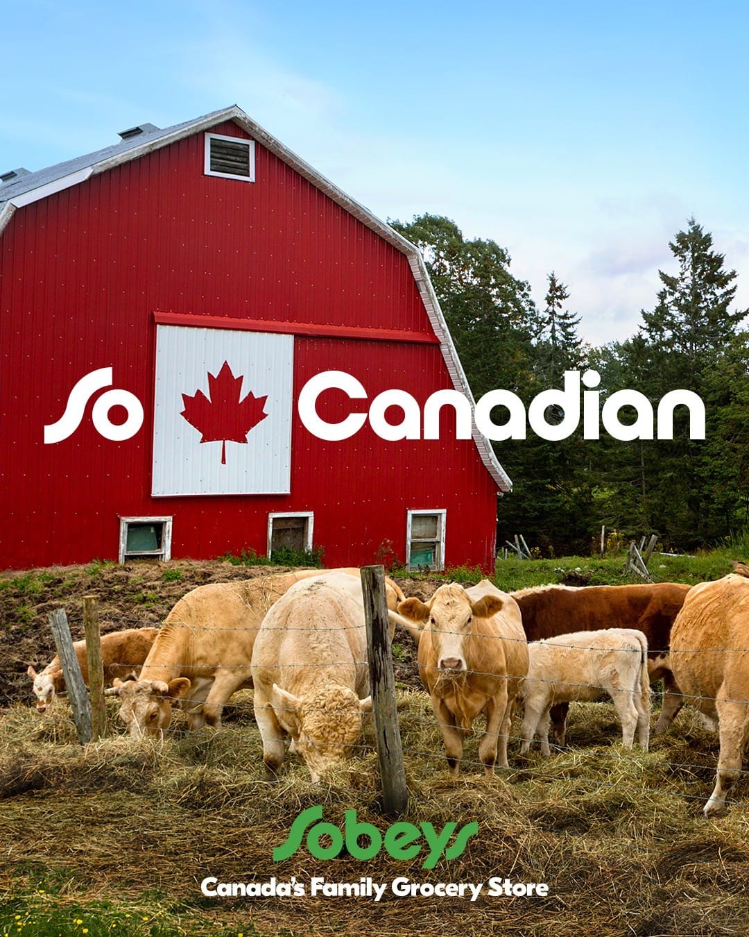 Post 10 by Sobeys on Instagram (image)