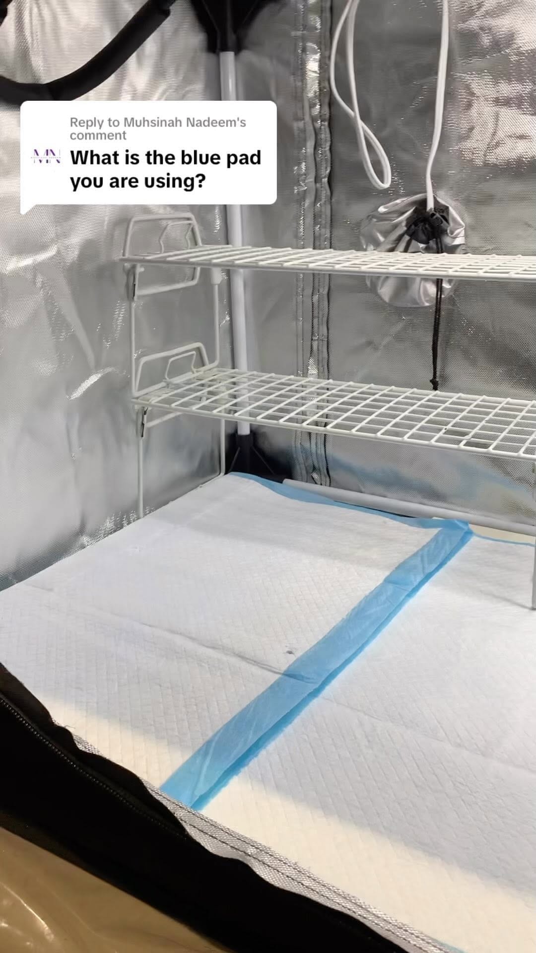 Post 10 by Barbara Clayton on Instagram (video)