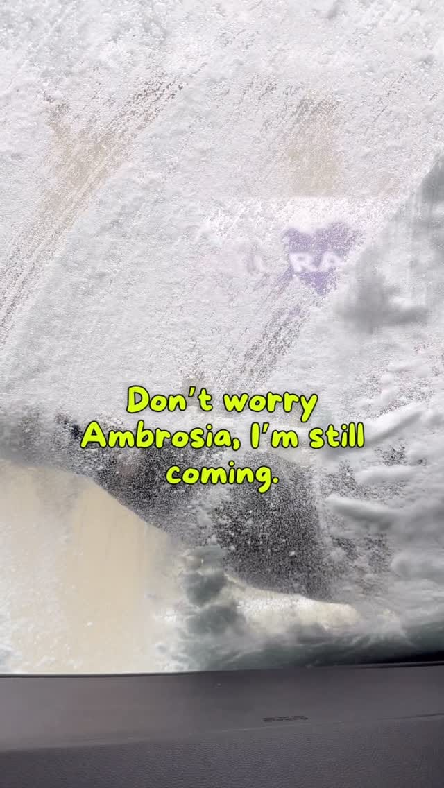 Post 3 by Ambrosia Natural Foods on Instagram (video)