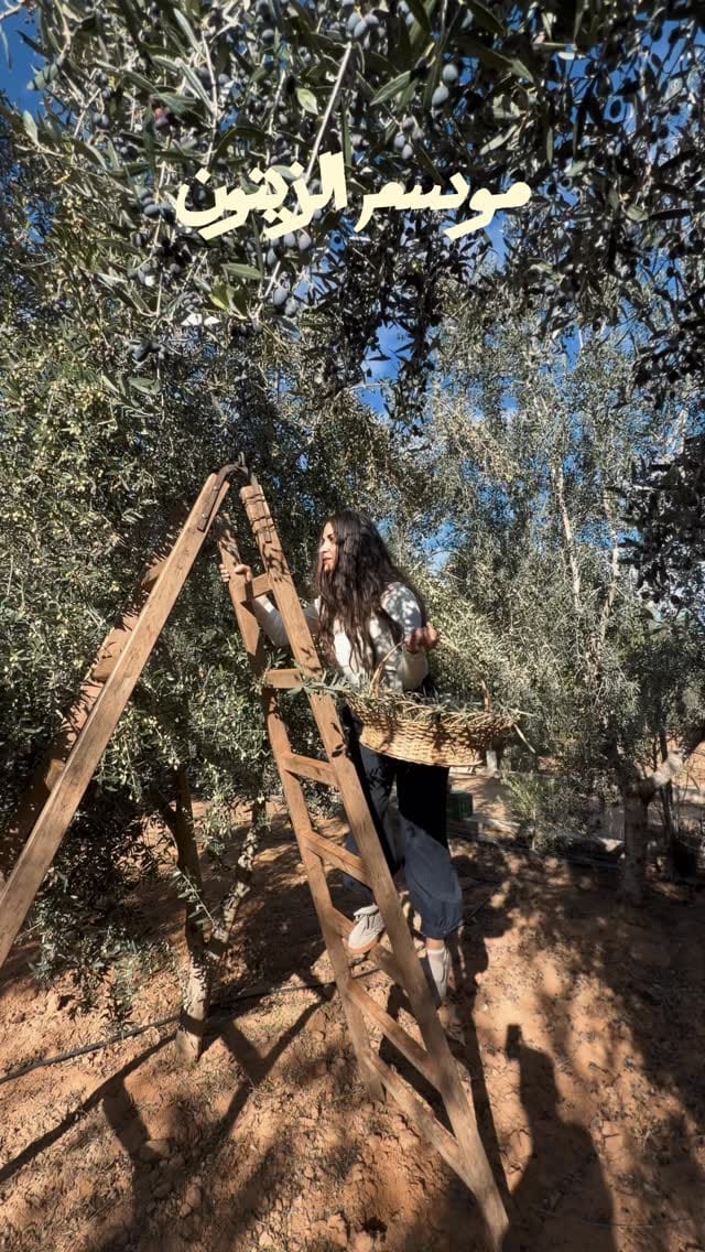 Post 1 by Cyrine | UGC | content creator 📸 on Instagram (video)