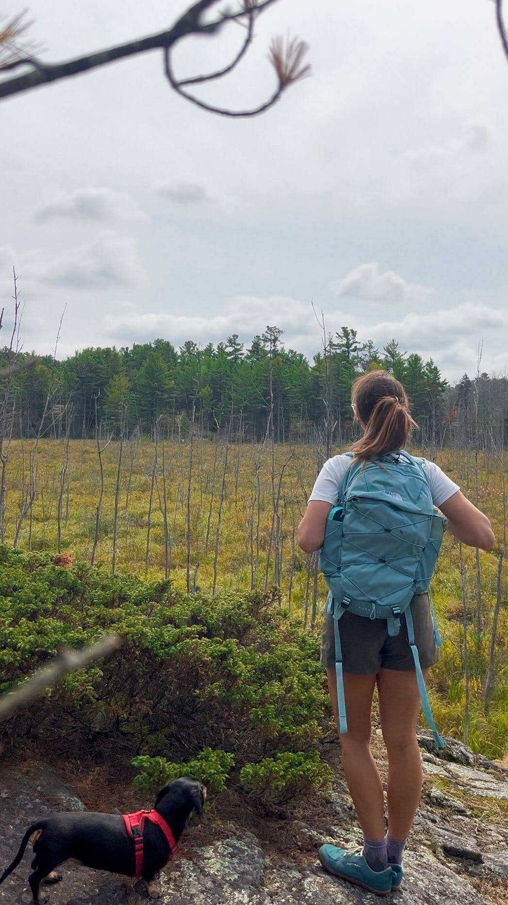 Post 6 by Kimberly Erin D ✈️ Travel Creator + Outdoor Adventures on Instagram (video)