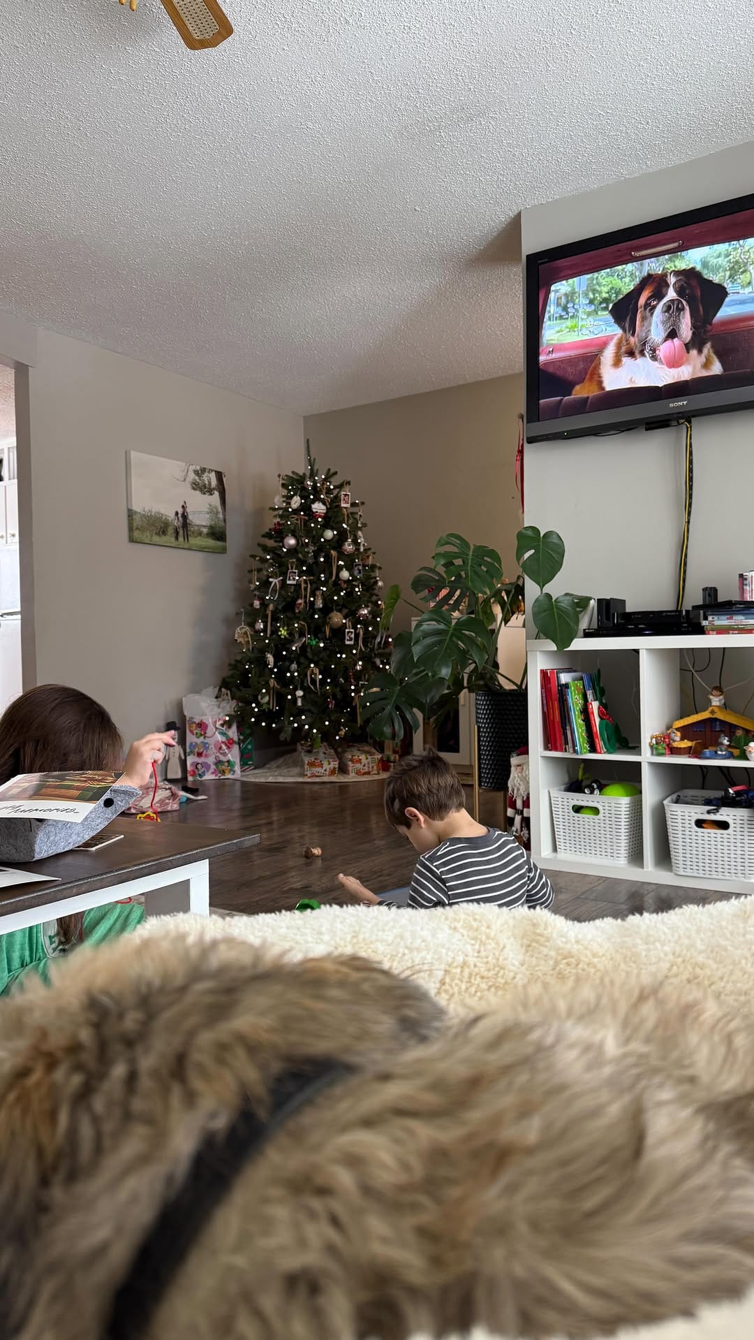 Post 10 by Kaitlyn Ollive on Instagram (video)