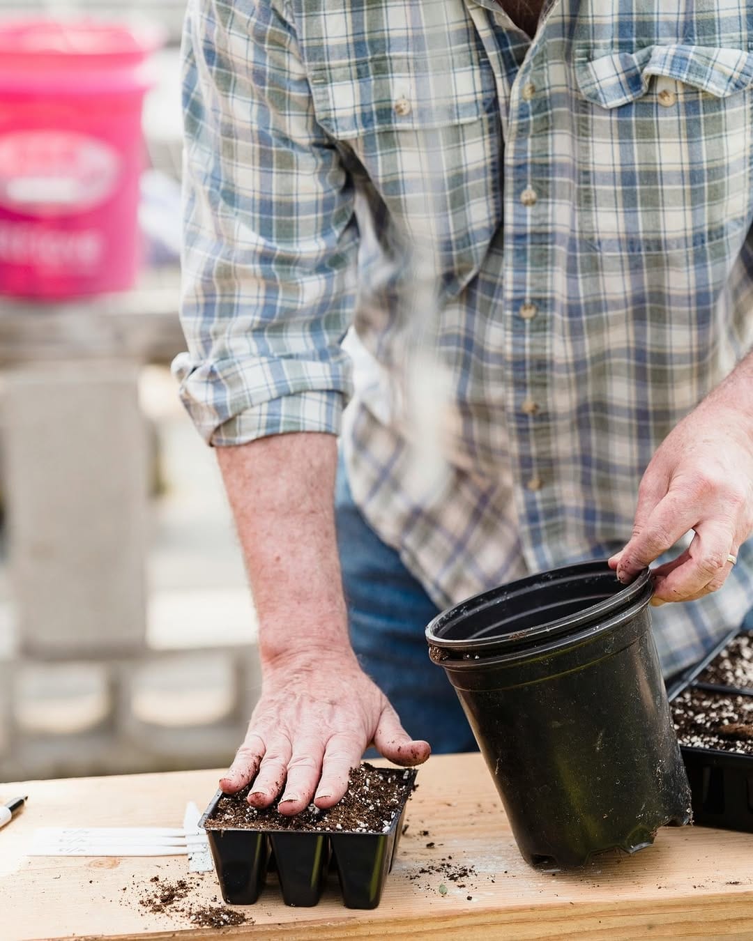 Post 3 by Halifax Seed Company on Instagram (image)