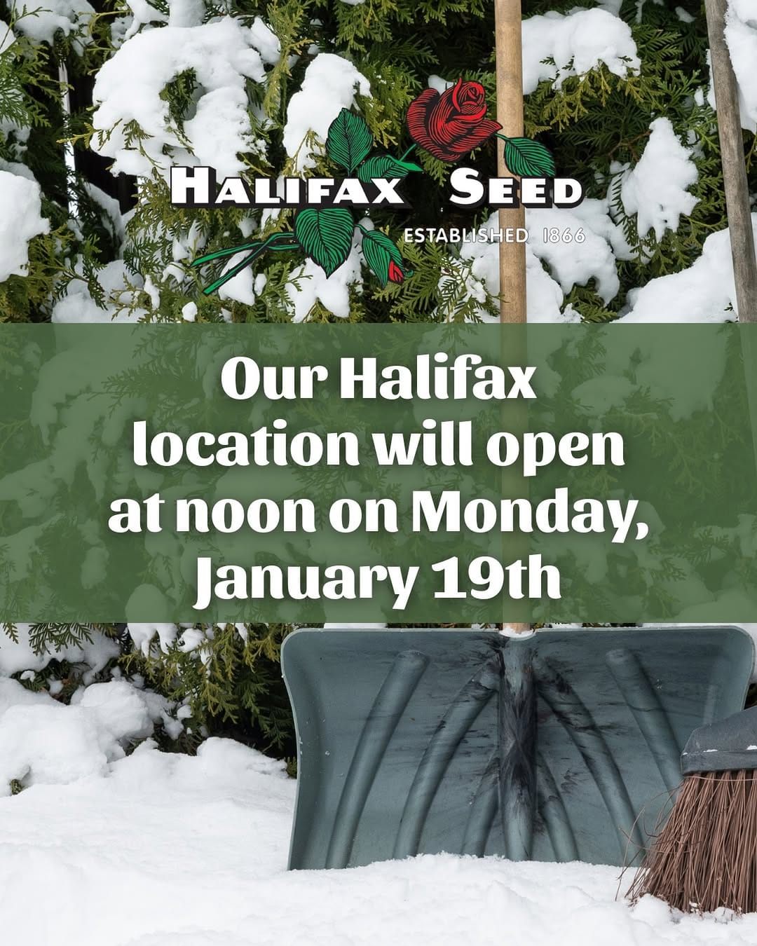 Post 2 by Halifax Seed Company on Instagram (image)