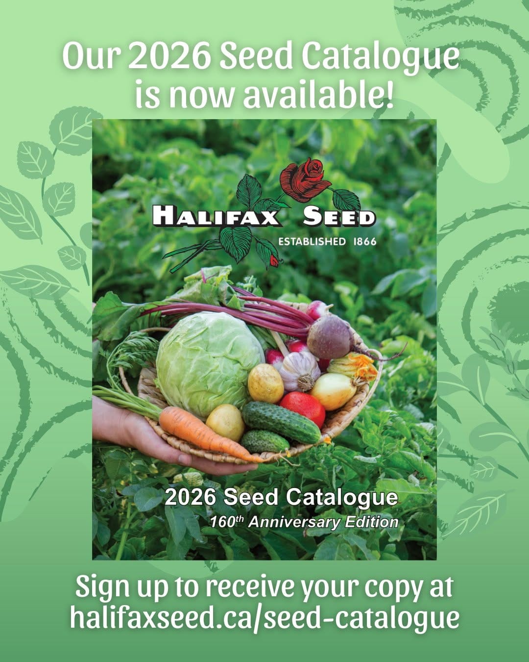 Post 9 by Halifax Seed Company on Instagram (image)