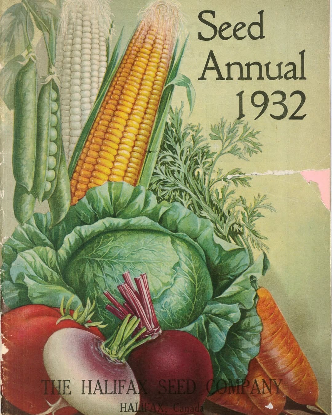 Post 1 by Halifax Seed Company on Instagram (carousel)