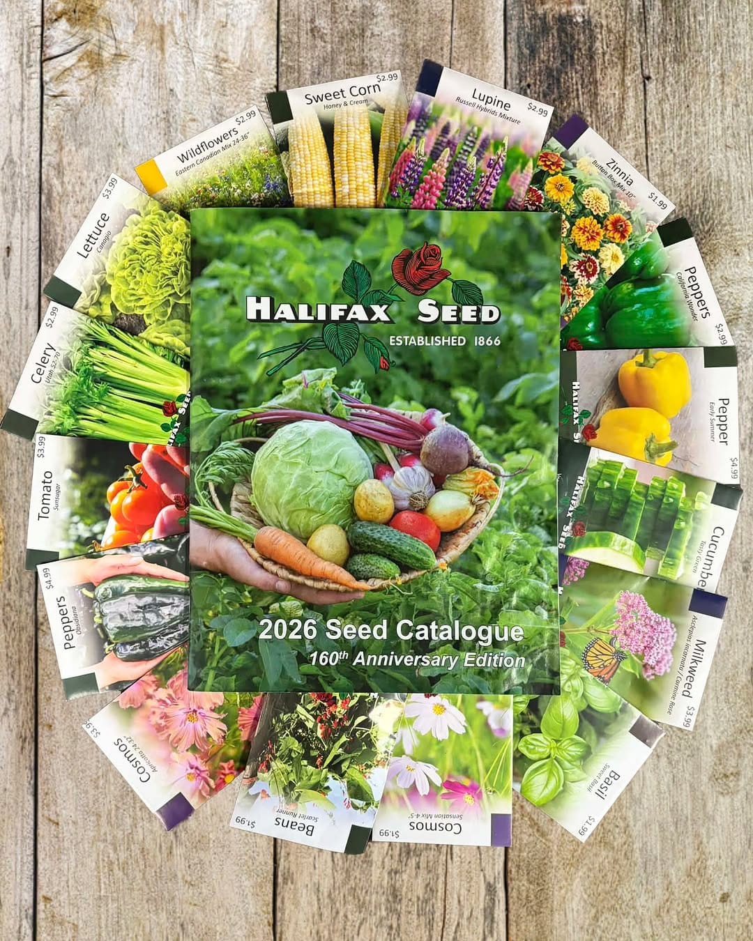 Post 5 by Halifax Seed Company on Instagram (image)