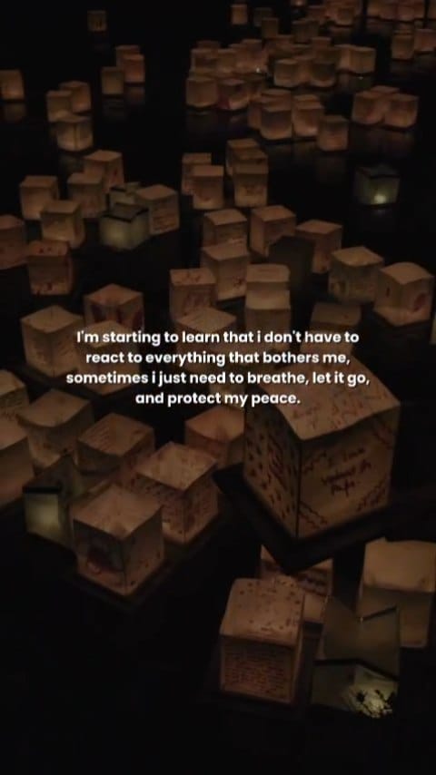Post 5 by Aditi OTTAWA🇨🇦GURGAON🇮🇳Lifestyle-Travel-Mental Health-Explorer on Instagram (video)