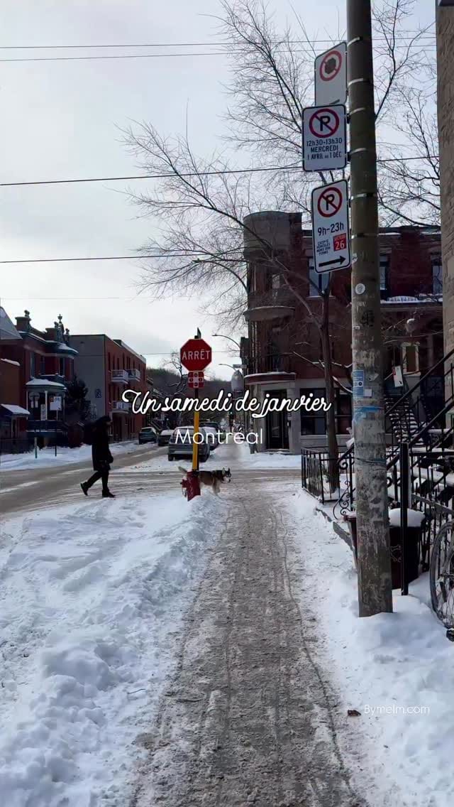Post 6 by Mélanie 🌿 Mes partages de Montréal et ailleurs on Instagram (video)