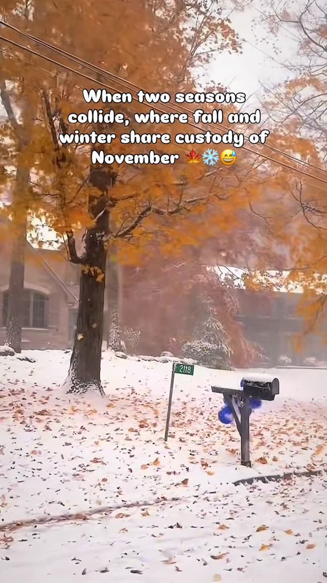 Post 5 by Shireen Cattan - travel & outdoors on Instagram (video)