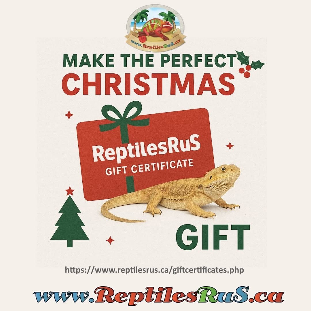 Post 10 by ReptilesRuS on Instagram (image)
