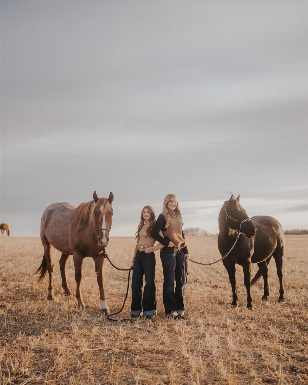 Post 1 by White Creek Ranch Photography on Instagram (carousel)