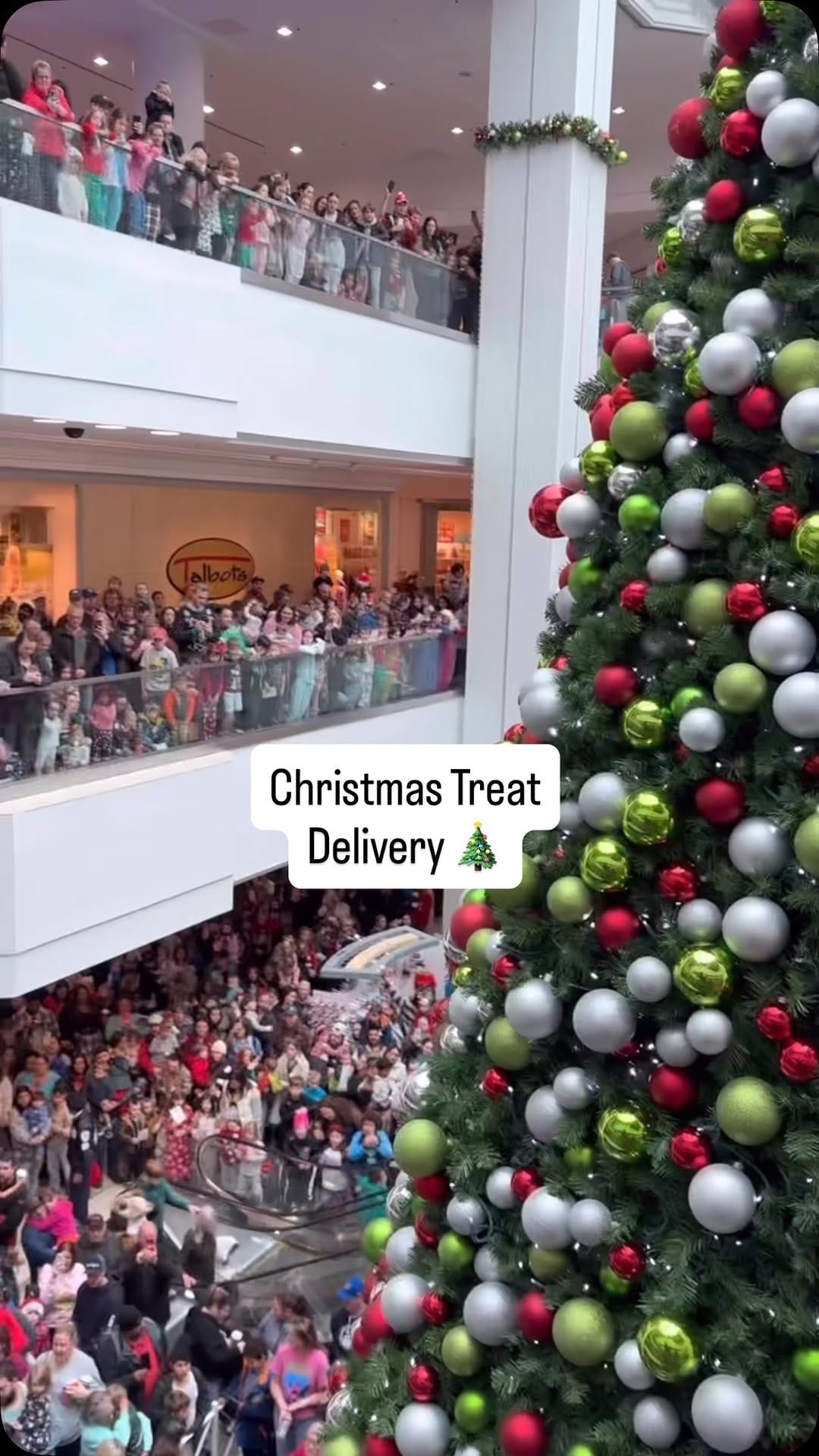Post 5 by Freak Lunchbox on Instagram (video)