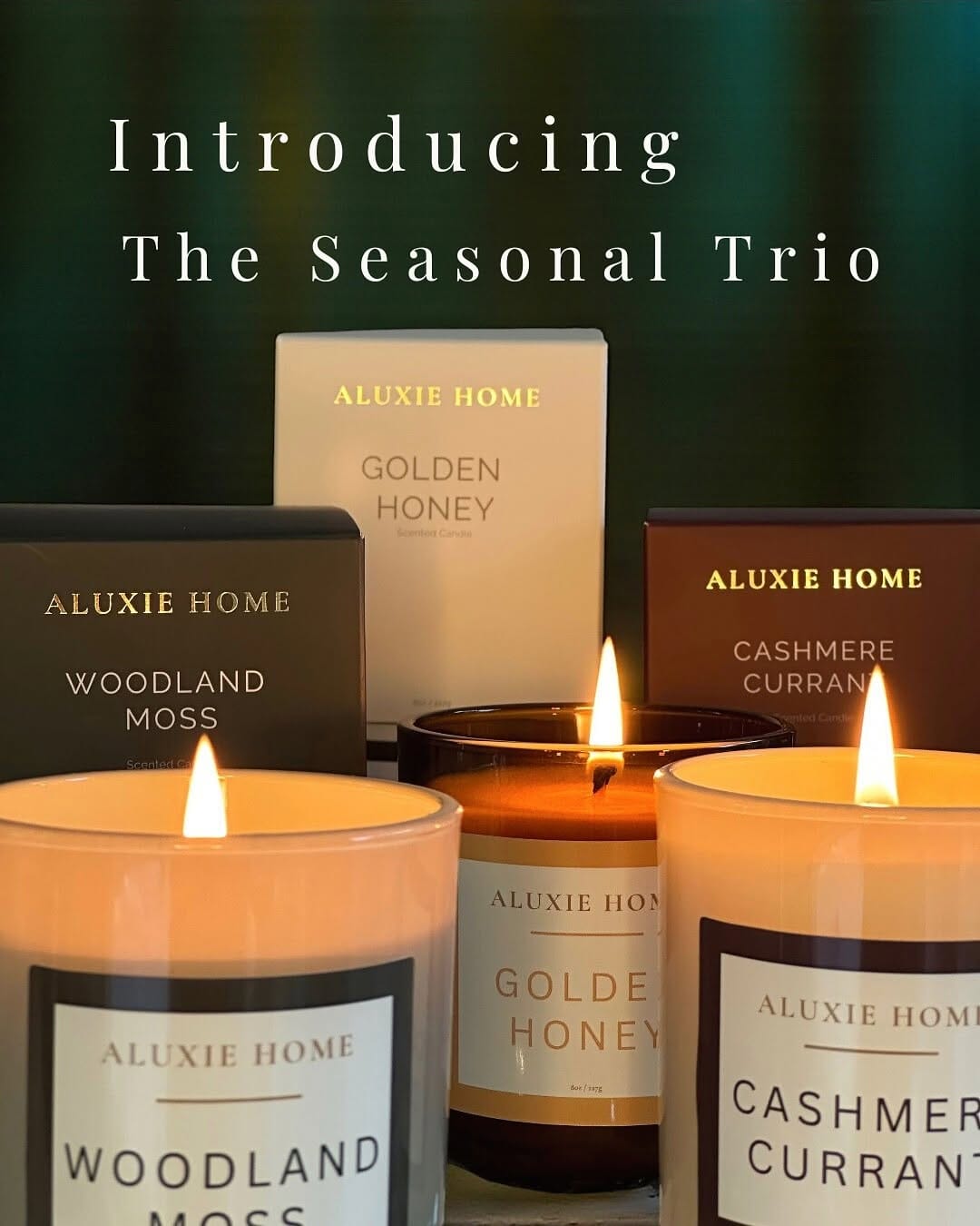 Post 8 by ALUXIE HOME on Instagram (carousel)