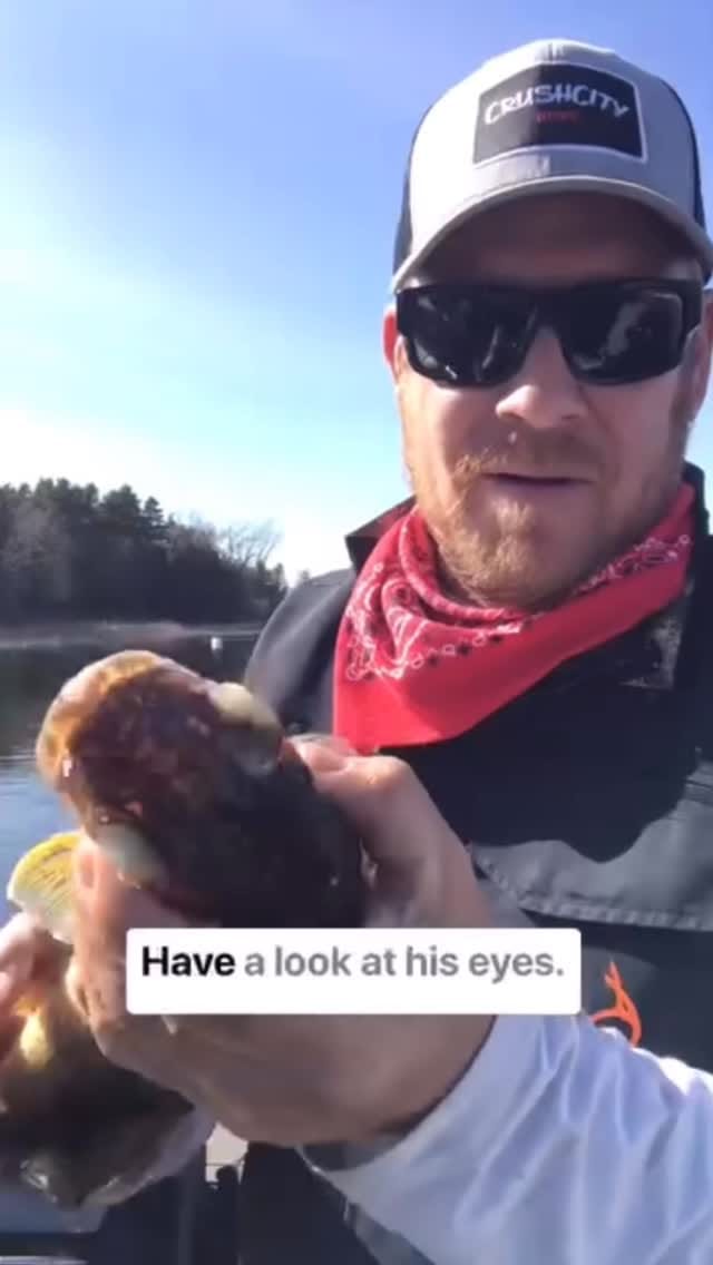 Post 7 by Tackle Depot on Instagram (video)