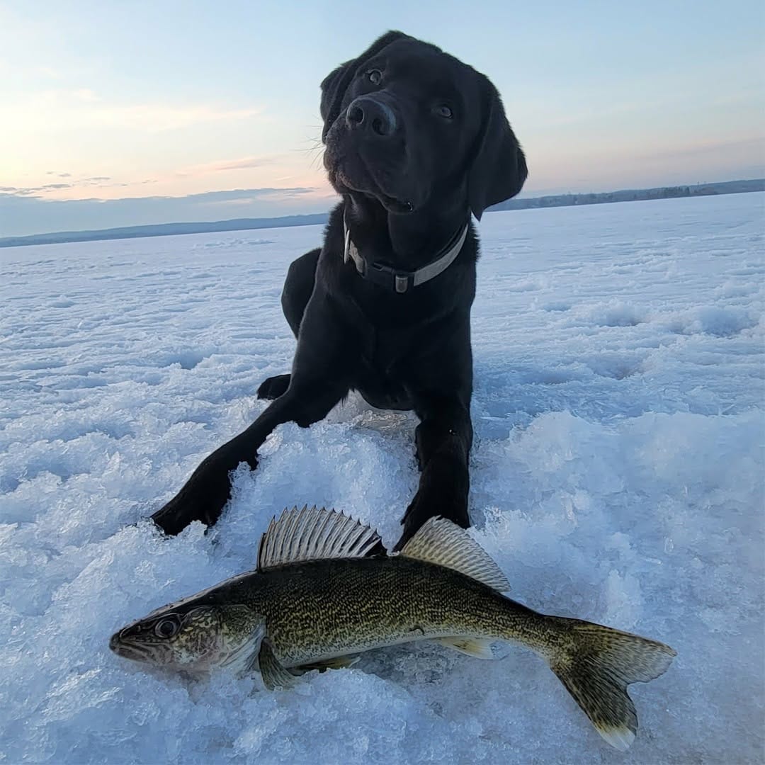 Post 4 by Tackle Depot on Instagram (image)