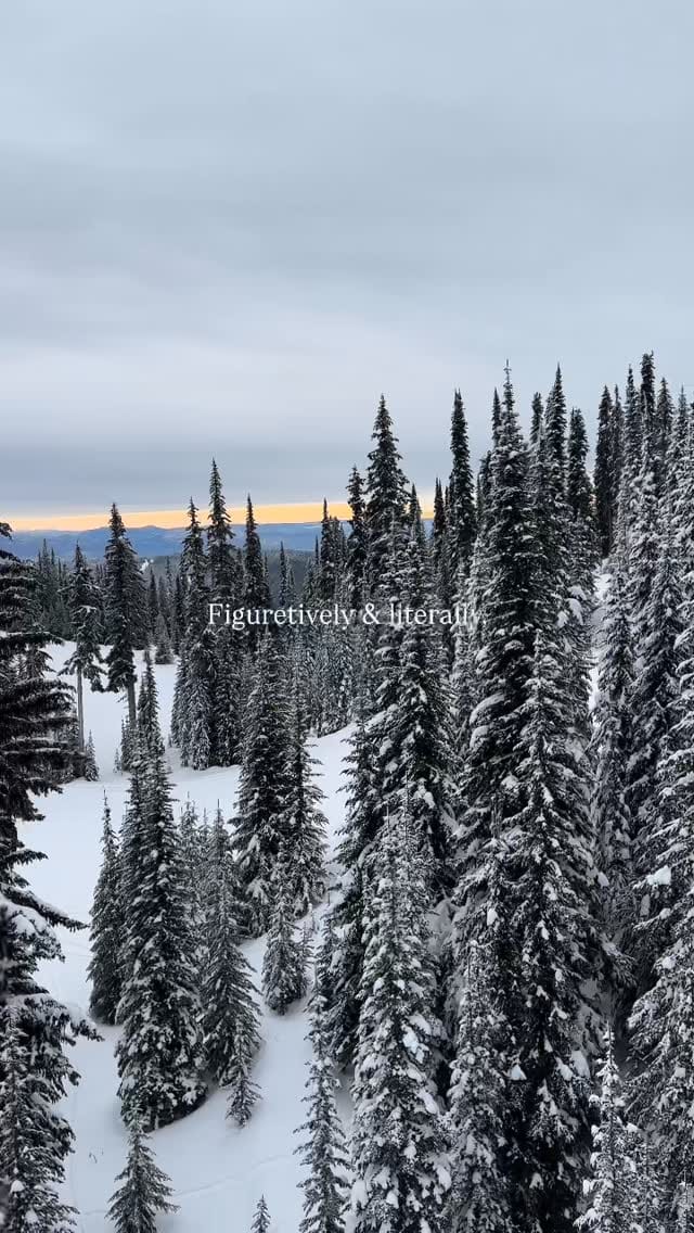 Post 4 by Danielle Keighley on Instagram (video)