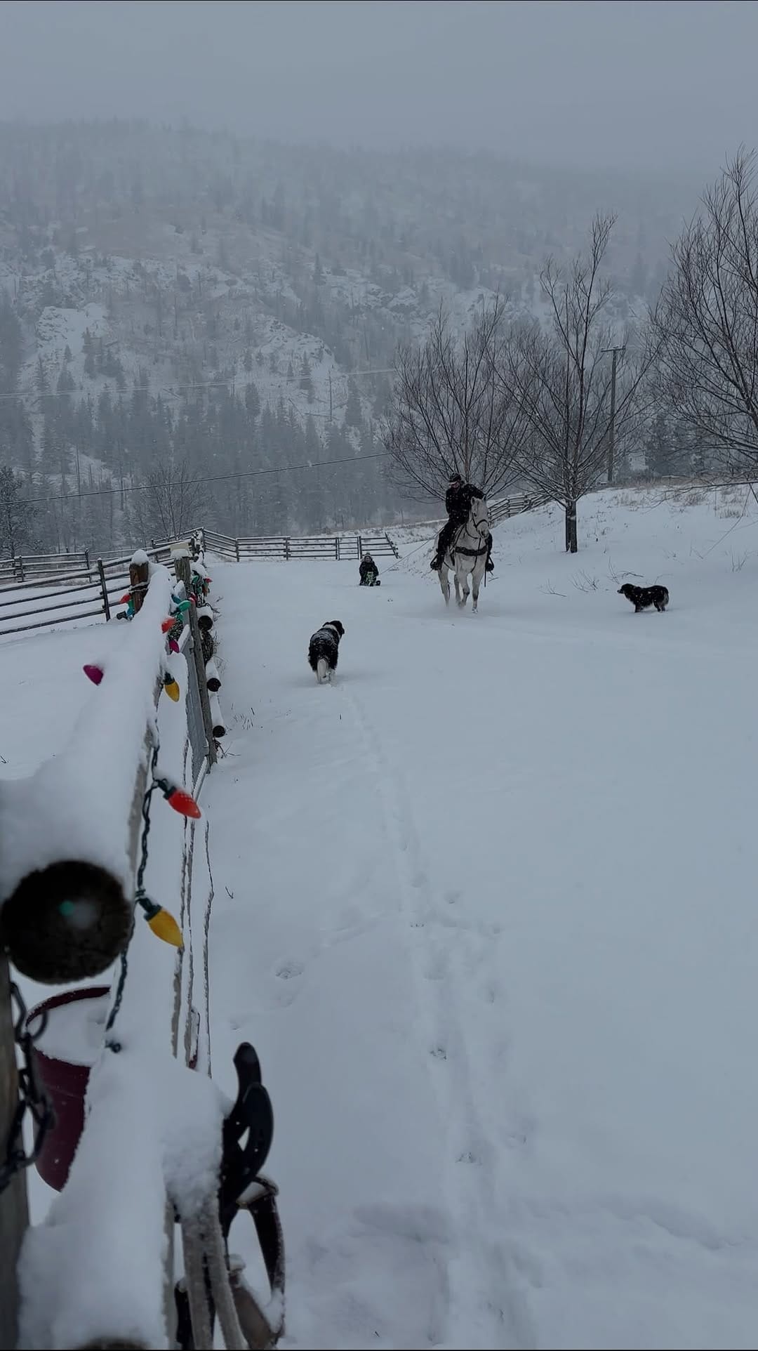 Post 8 by Danielle Keighley on Instagram (video)