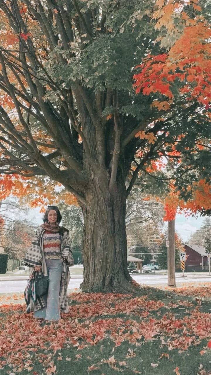 Post 3 by Saeedeh Rahmati on Instagram (video)