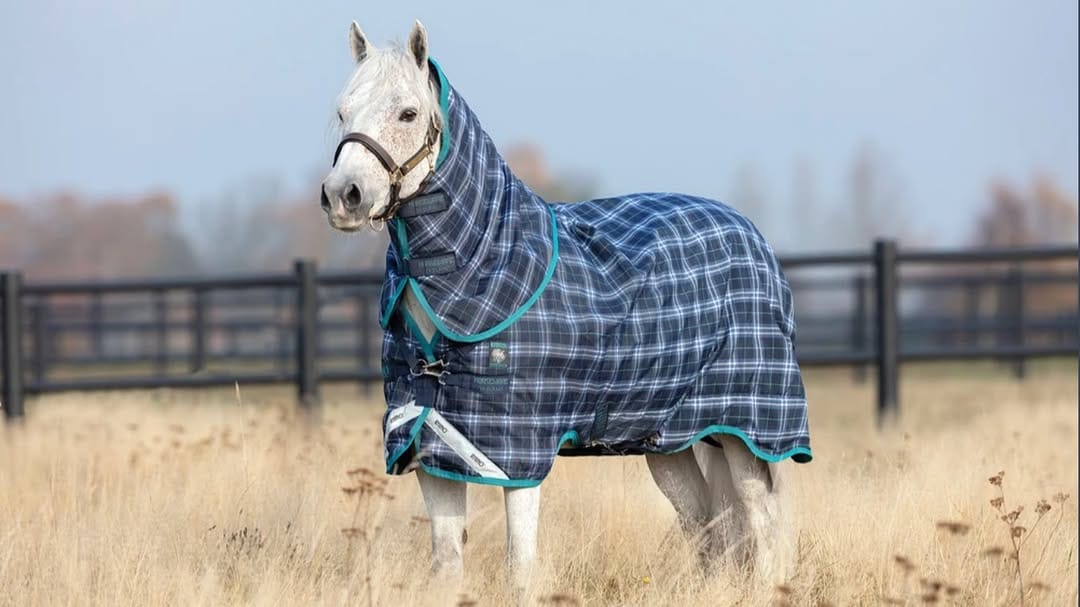 Post 2 by Apple Saddlery on Instagram (image)