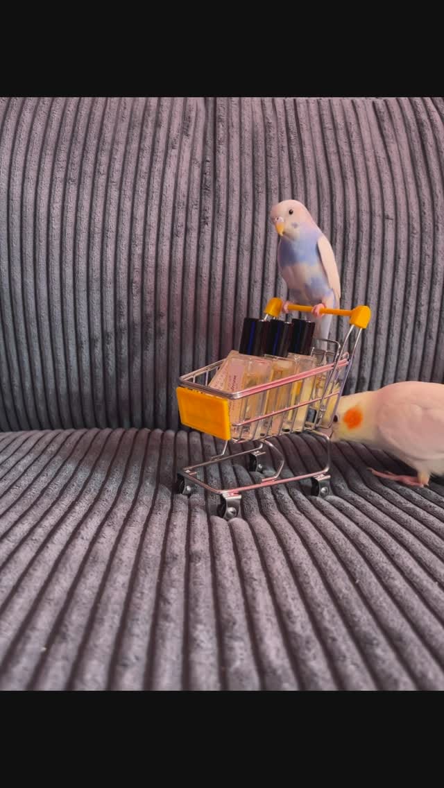 Post 4 by Shy on Instagram (video)