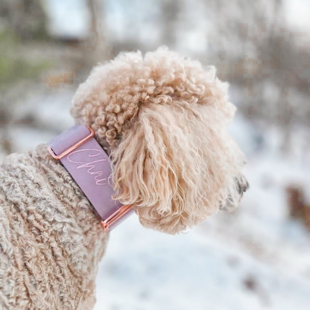 Post 5 by Alpine Dog Co.™ on Instagram (carousel)