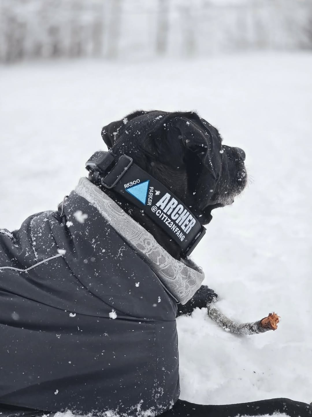 Post 6 by Alpine Dog Co.™ on Instagram (carousel)