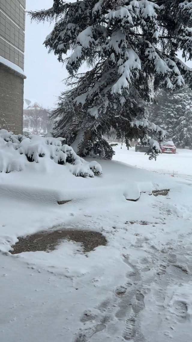 Post 4 by @gulslifestyle on Instagram (video)